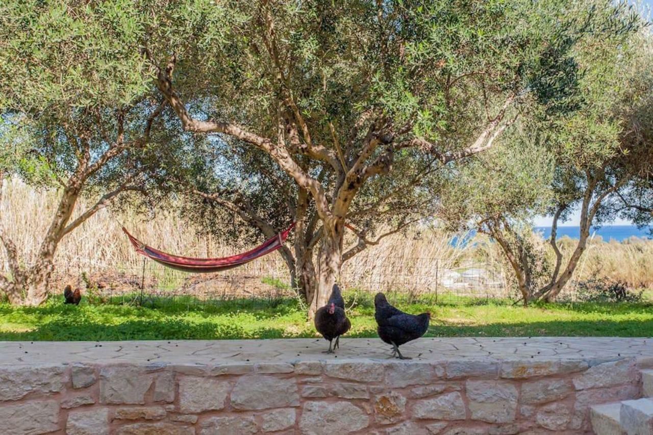 Olive Tree Farm 200M From The Beach Episkopi  Bagian luar foto