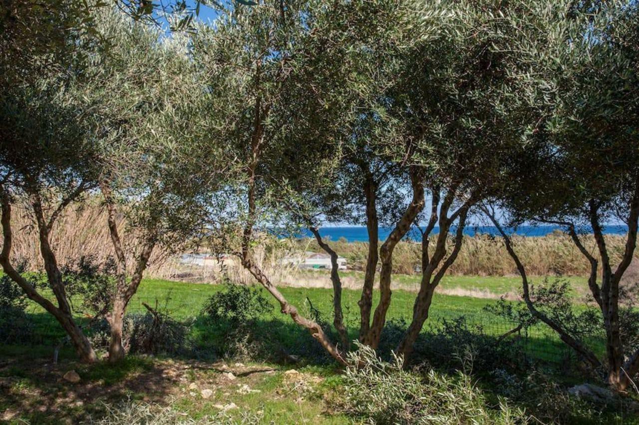 Olive Tree Farm 200M From The Beach Episkopi  Bagian luar foto
