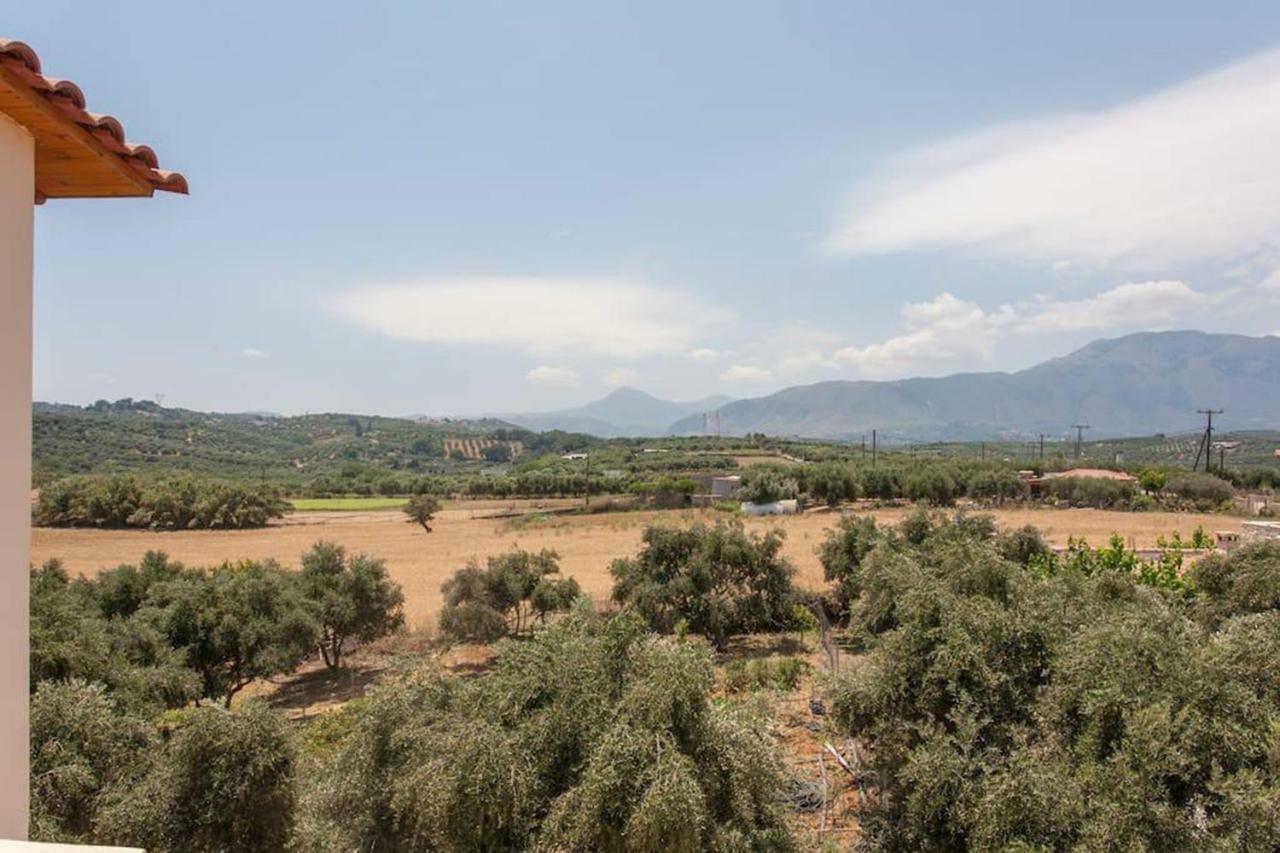 Olive Tree Farm 200M From The Beach Episkopi  Bagian luar foto