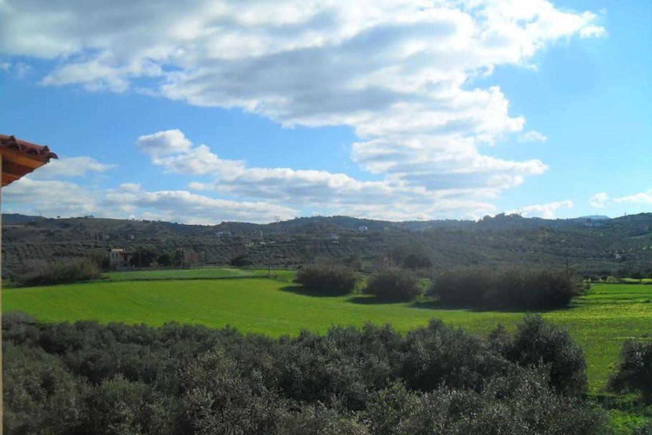Olive Tree Farm 200M From The Beach Episkopi  Bagian luar foto