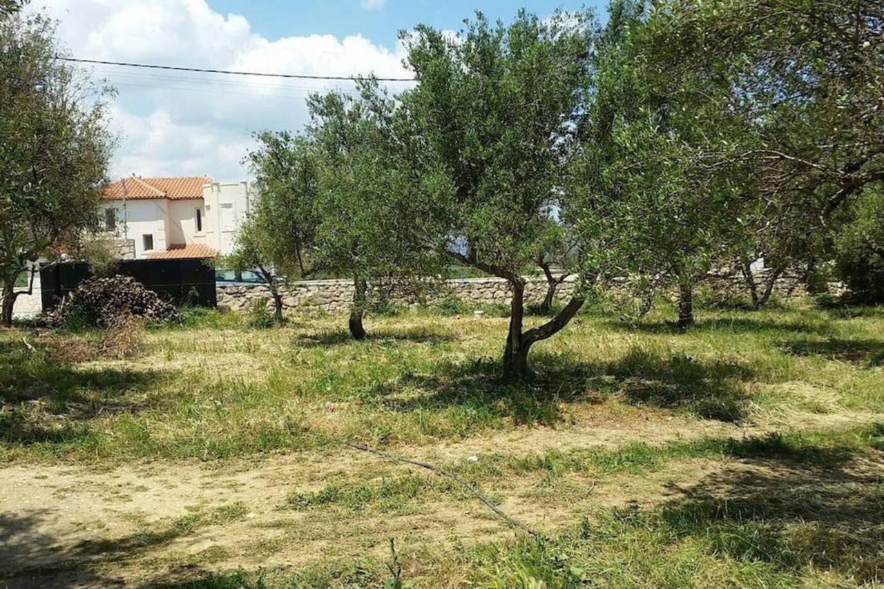 Olive Tree Farm 200M From The Beach Episkopi  Bagian luar foto