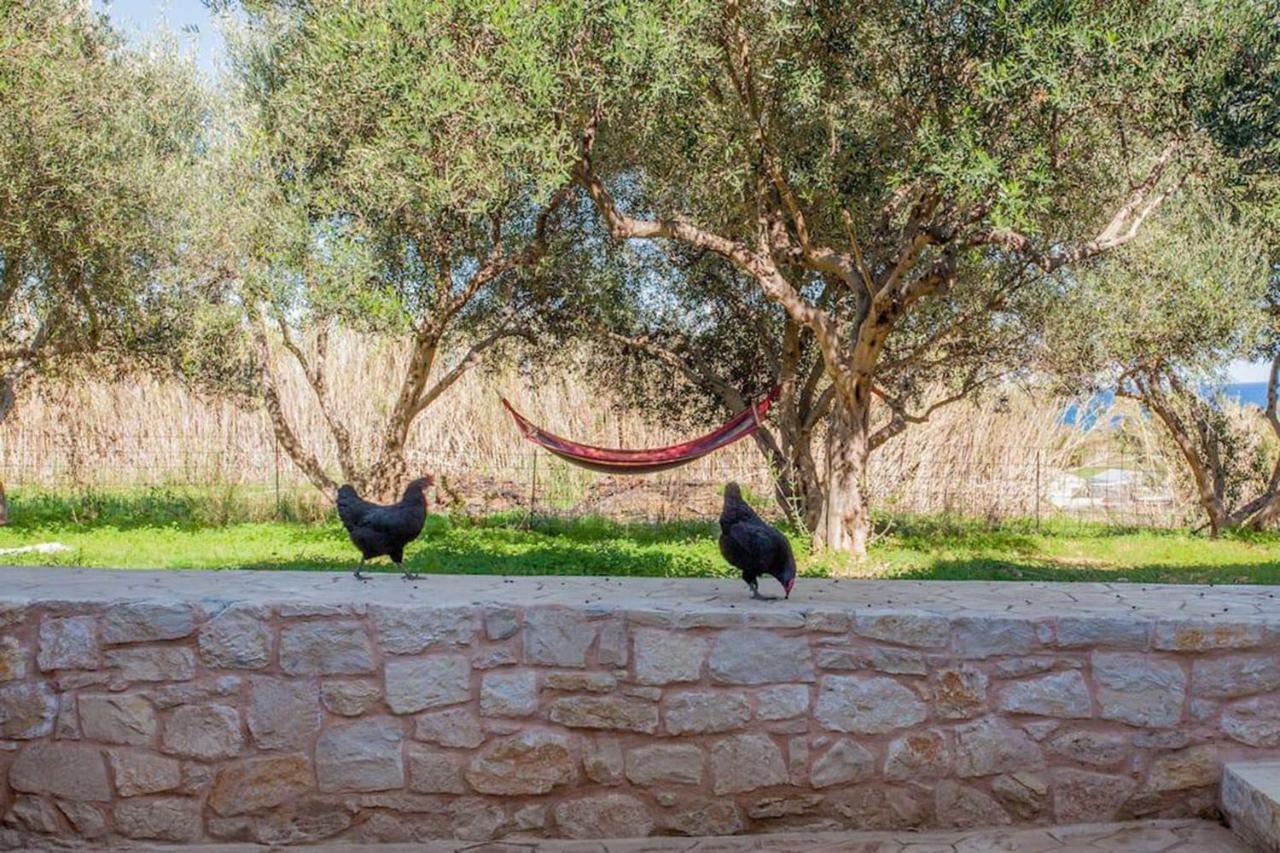 Olive Tree Farm 200M From The Beach Episkopi  Bagian luar foto
